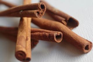 Canela Casca Jawa