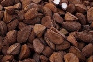 Castanha do Pará com Casca