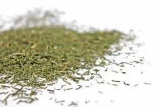 Endro em Folhas Desidratado