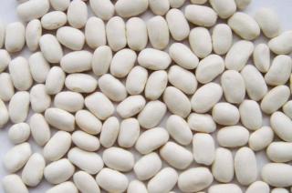 Fava Branca Grande importada