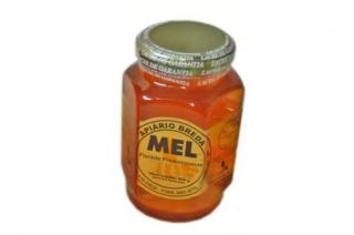 Mel Breda Flor Silvestre 500g