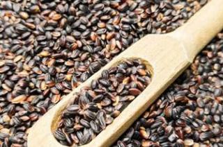 Mini Arroz Preto -  Arroz Negro