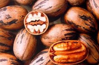 Noz Pecan Inteira