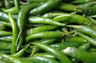 Pimenta Malagueta Verde
