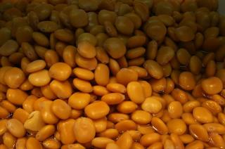 Tremoços em Conserva