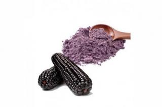 Milho roxo em Pó