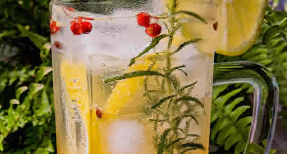 Drink sem Álcool