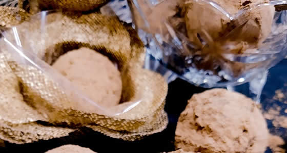Trufas sem açúcar, lactose e recheadas